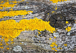 abstrakt_olszewski_giefer_fototouren_©-1.jpg