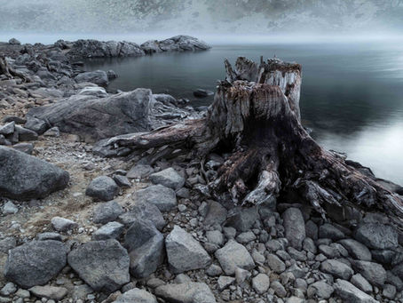 Faszinierende Naturfotografie im Winter