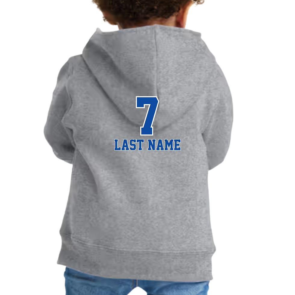 Thumbnail: Port & Company Toddler Core Fleece Full-Zip Hooded Sweatshirt