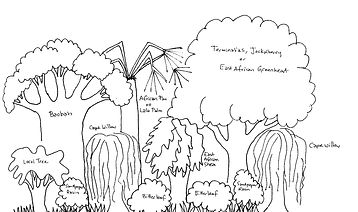 Kwetu Regeneration Hub Zone 4 Polyculture Guild.jpg