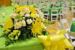 Green Wedding