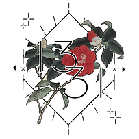 fffs2.png