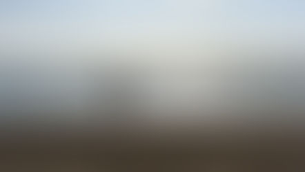 5 Unexpected (Off the Mat) Benefits from Yoga