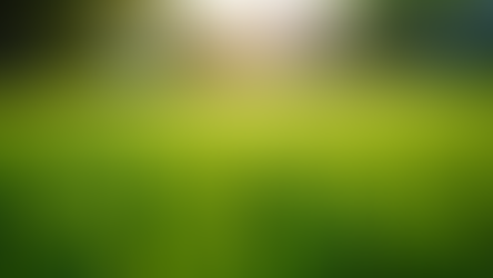 Achieve Pristine Yards with Ark Lawn Care Services
