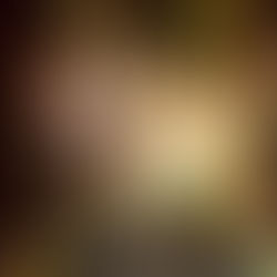 Sommer, Sonne, Kampf der Künste Juni