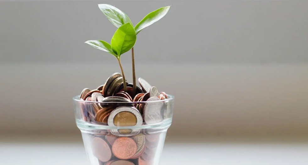 A small green plant grows from a glass full of coins. The background is a soft gray, creating a calm and hopeful mood.
