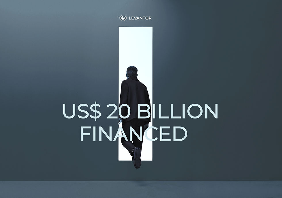 A person in a black coat faces a bright doorway on a dark blue background. Text reads "US$ 20 BILLION FINANCED" with "LEVANTOR" at the top.