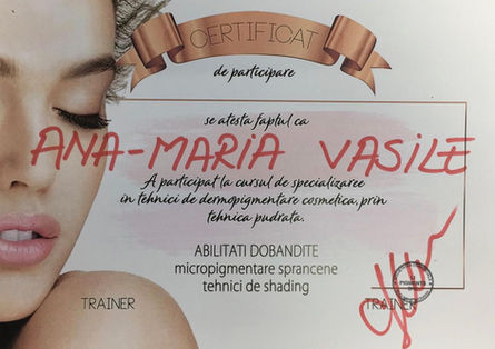 Ana Maria Vasile diplome