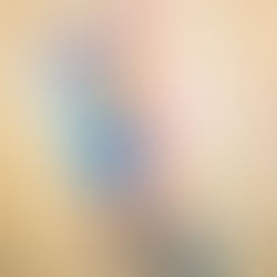 ARCO - Climb4Future incontra Gian Matteo "Robocop" Ramini