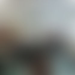 Tione - Conferenza stampa