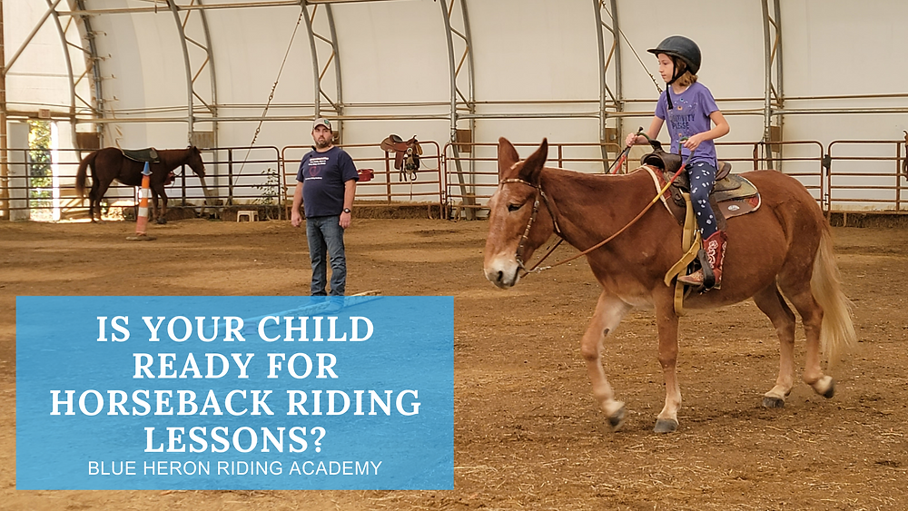 Childrens horse riding lessons near me