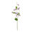 Thumbnail: The Natural Garden Collection Purple Sweetpea Stem