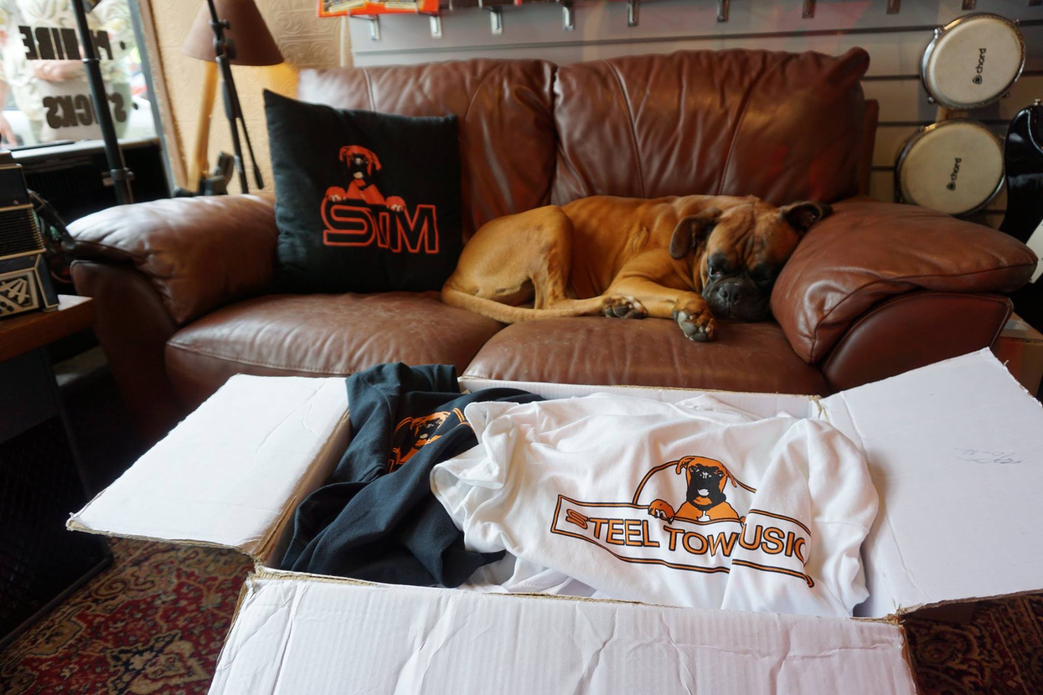 Arnold asleep on the couch