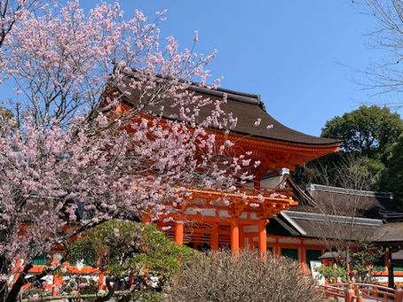 【お知らせ】「きんこん館通信」Monthly vol.15を発行しました!