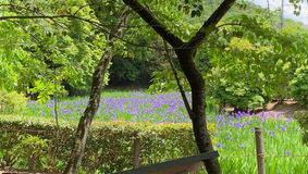 【お知らせ】「きんこん館通信」Monthly vol.5を発行しました!