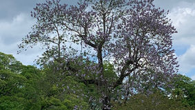 【お知らせ】「きんこん館通信」Monthly vol.16を発行いたしました!