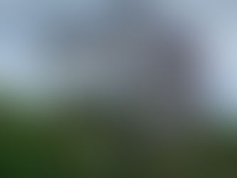 【お知らせ】「きんこん館通信」Monthly vol.16を発行いたしました!