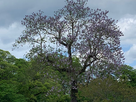 【お知らせ】「きんこん館通信」Monthly vol.16を発行いたしました!