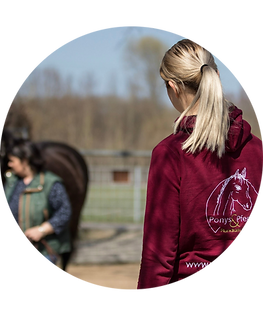 Design ohne Titel (21).png