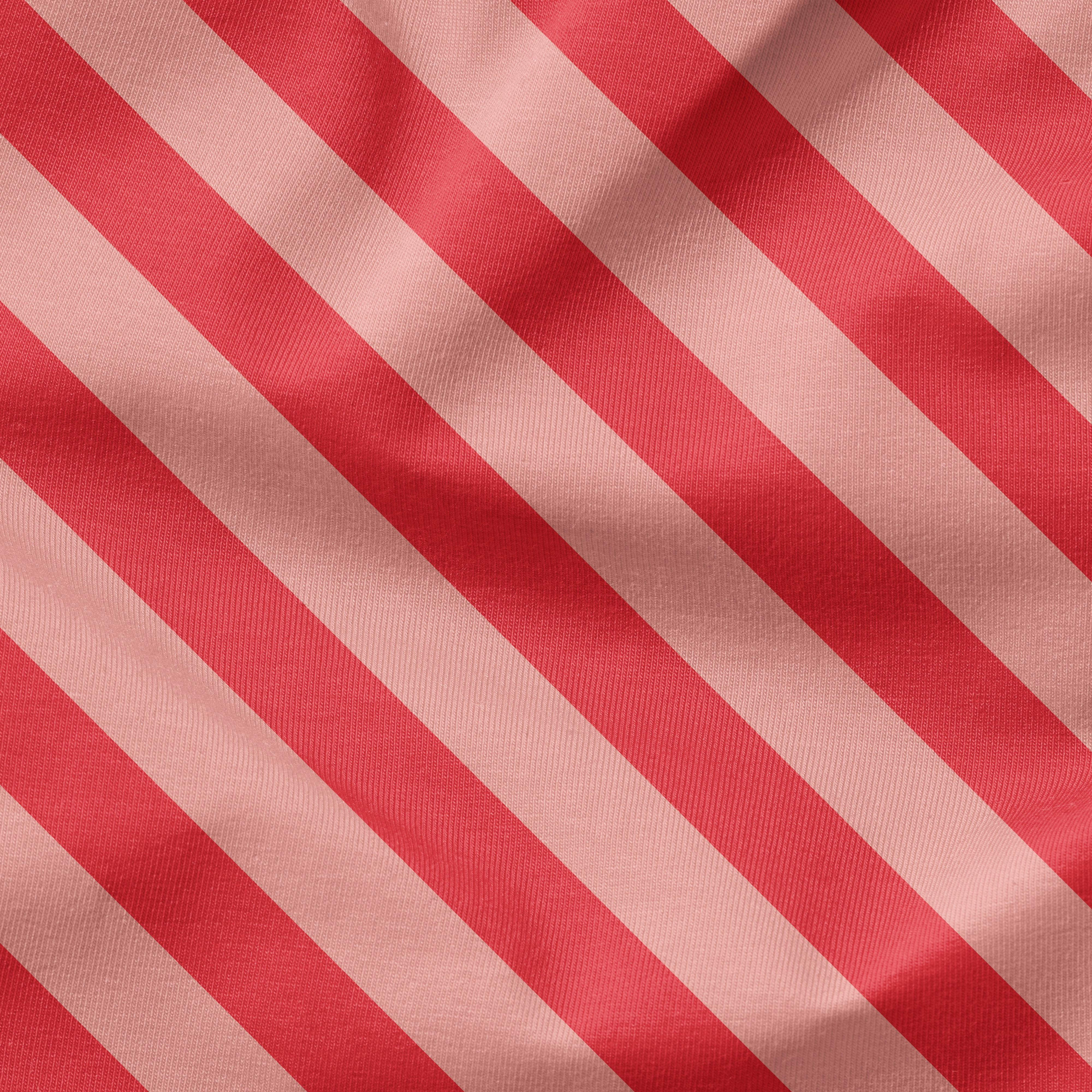 Vorbestellung RoteBeete Kombi