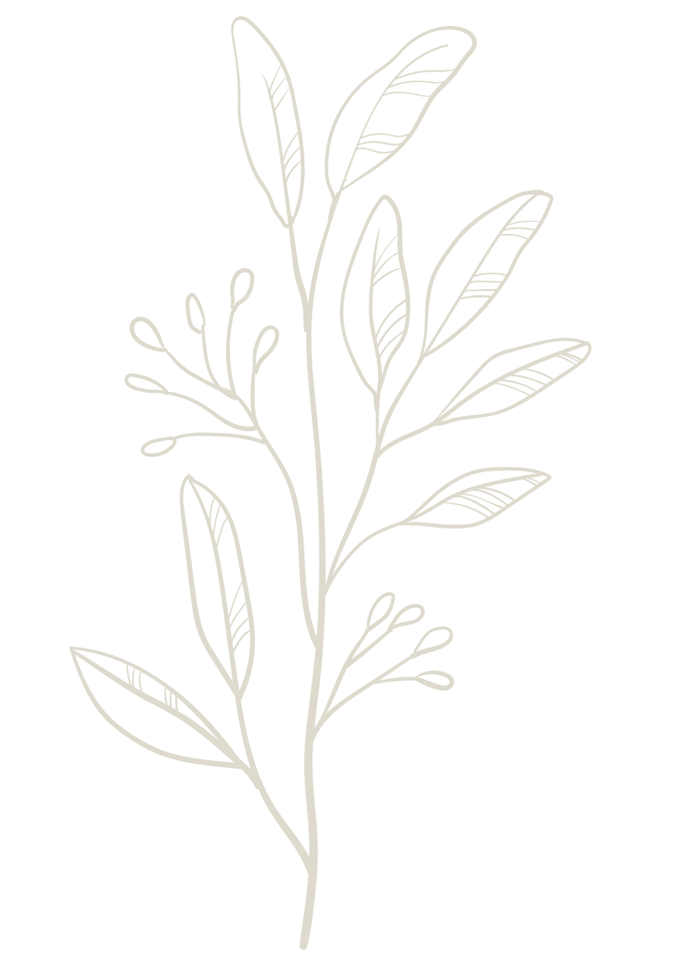 9.png