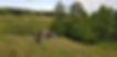 20190812_191248.jpg