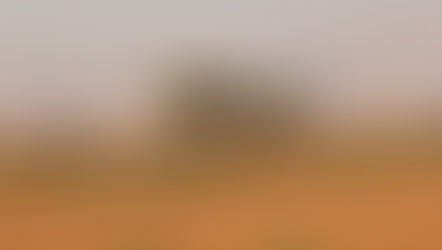 Dubai Rock Climbing!? Yes, nearby!