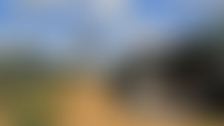 Overland expedition to Namibia, Botswana and Zambia