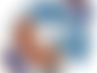 Constitution du patrimoine du Club