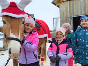 Kindernachmittag - Es weihnachtet am Pferdehof.