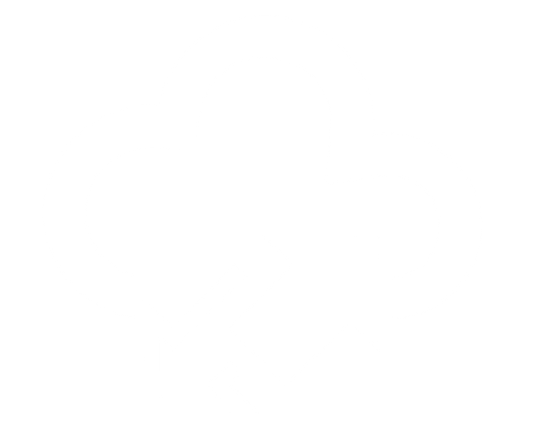 API, Custom Integrations & Workflows