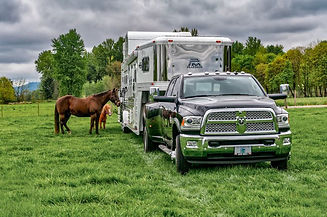 Horse Trailer.JPG