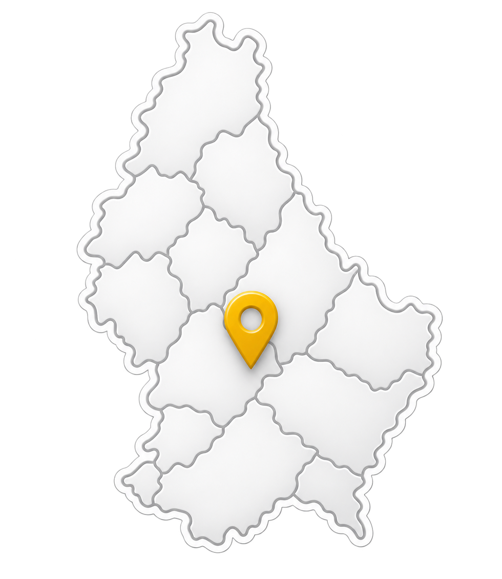 Carte du Luxembourg en relief, épingle dorée centrale