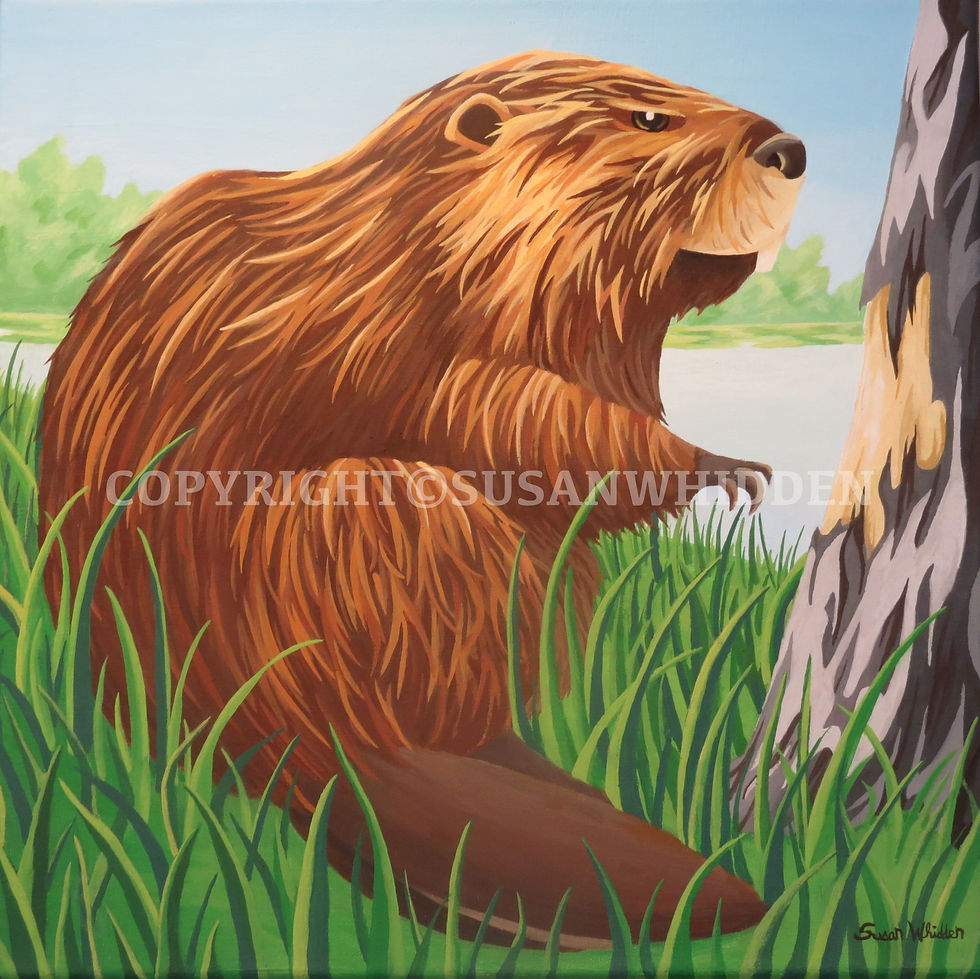 Mischievous Beaver