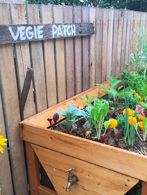 Screen Shot 2022-02-23 at 3.33.22 pm.png