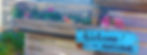 2.secondchoicehomepage.jpg