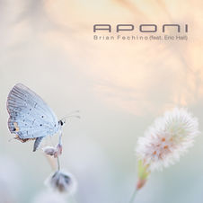 Brian Fechino (feat. Eric Hall) - "Aponi"
