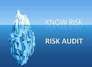 KNOW RISK - RISK AUDIT.jpg