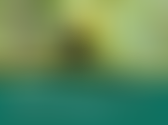 Emergent Extends LEAF Coalition Call for Proposal Window