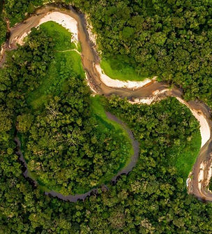 tropical_rainforest (72).jpg