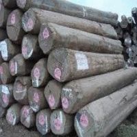 "Kailash Timber","Plywood"