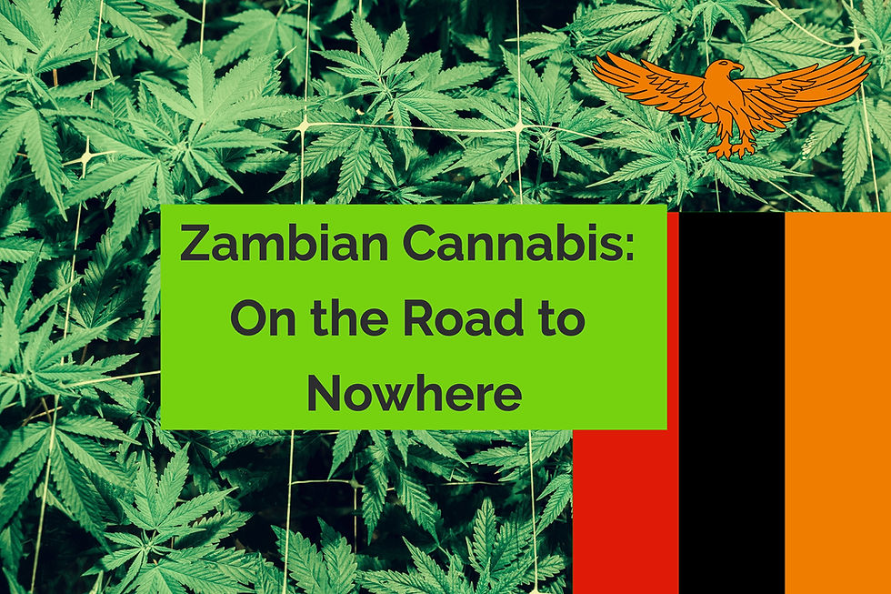 Zambia Persecutes Legacy Cannabis Growers Instead of Adapting its Legalization Law to Their Needs