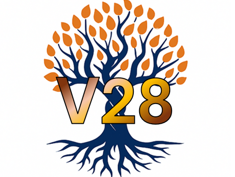 Introducing the 30-Day Revenue Integrity Reset from RVA Healthcare Consulting 