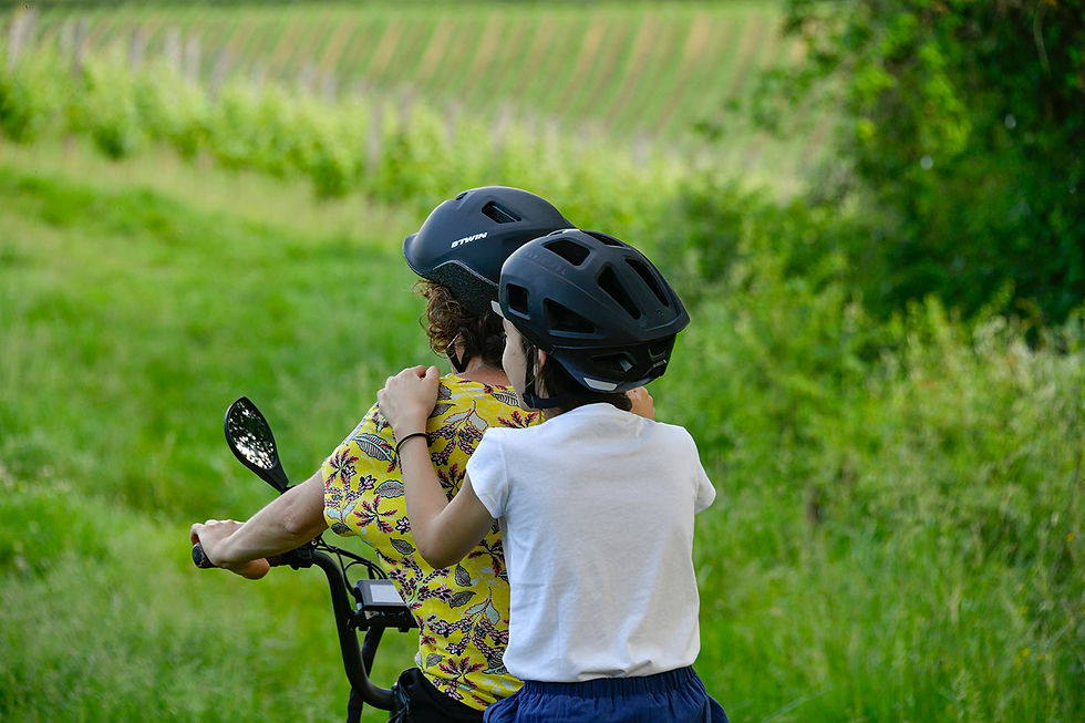 Louez un velo pour une ballade dans les vignes Domaine du Moulié