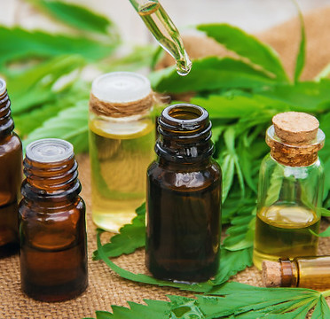 cannabis-herb-leaves-treatment-broth-tin
