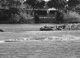 508A5639_edited_edited.jpg