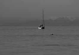 508A0435_edited_edited.jpg