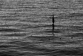 508A5321_edited_edited.jpg