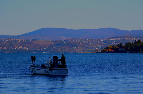 508A5222_edited.jpg