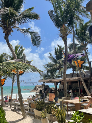 Raw Love Tulum